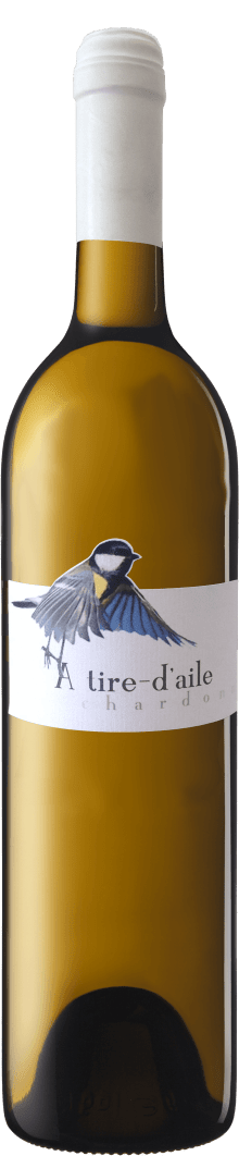 Mise Propre A Tire-d'Aile, Chardonnay Weiß 2023 75cl