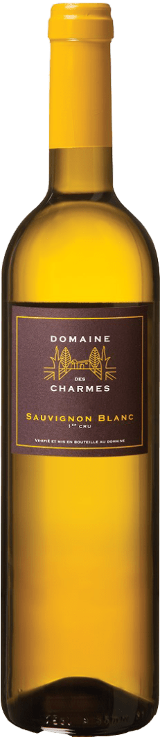 Domaine des Charmes Sauvignon Blanc 1er Cru Weiß 2022 75cl