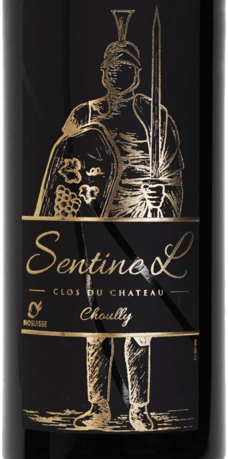 2022 コントリジェべレールV.R.Clos du Château Domaine du Clos du Château SentineL - Assemblage Rouges 2022 75cl