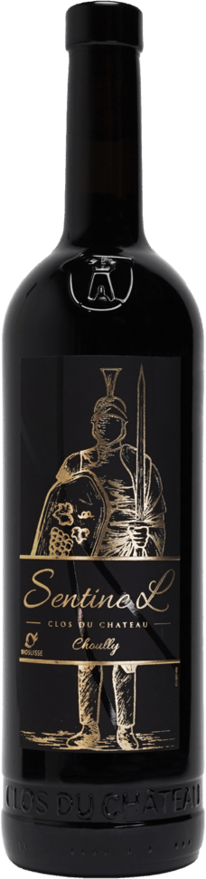 2022 コントリジェべレールV.R.Clos du Château Domaine du Clos du Château SentineL - Assemblage Rouges 2022 75cl