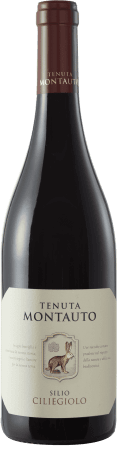 Tenuta Montauto Ciliegiolo Red 2024 75cl