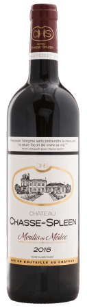 Château Chasse Spleen Château Chasse Spleen - Cru Bourgeois Rot 2017 75cl