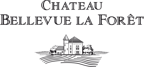 Château Bellevue La Forêt